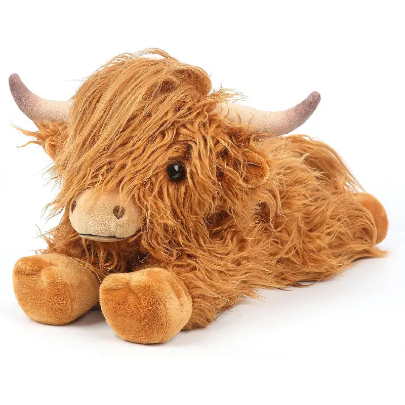 A-Highland Cow -1
