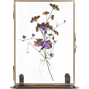 Vintage Floating Glass Frame, Tabletop Floating Picture Frame for Dry Flowers, Double Glass Pressed Flower Display Frame with Metal Base, Shelf Photo Frames for Home Office
