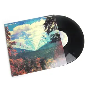 Tame Impala: Innerspeaker Vinyl 2LP
