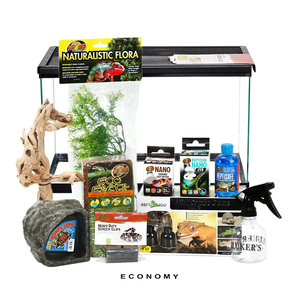 COMPLETE 10 Gallon Tree Frog Setup