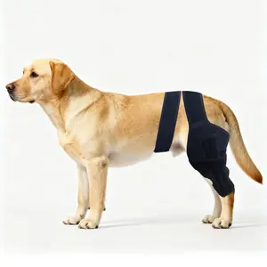 Dog Knee Brace for Torn ACL Hind Leg - Orthopedic Rear Leg Wrap with Metal Stabilizers for Support, for Small Medium Large Dogs, for Arthritis, Luxating Patella, and Joint Injury Recovery