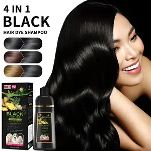 Hair Dye Shampoo, 1 Box 4 in 1 Semi Permanent Color Hair Shampoo, Natural Extracts Black Hair Dye Shampoo, Professional Hair Care & Styling Product for Women & Men, Haircare Hair Color Kit, Dyeshampoo