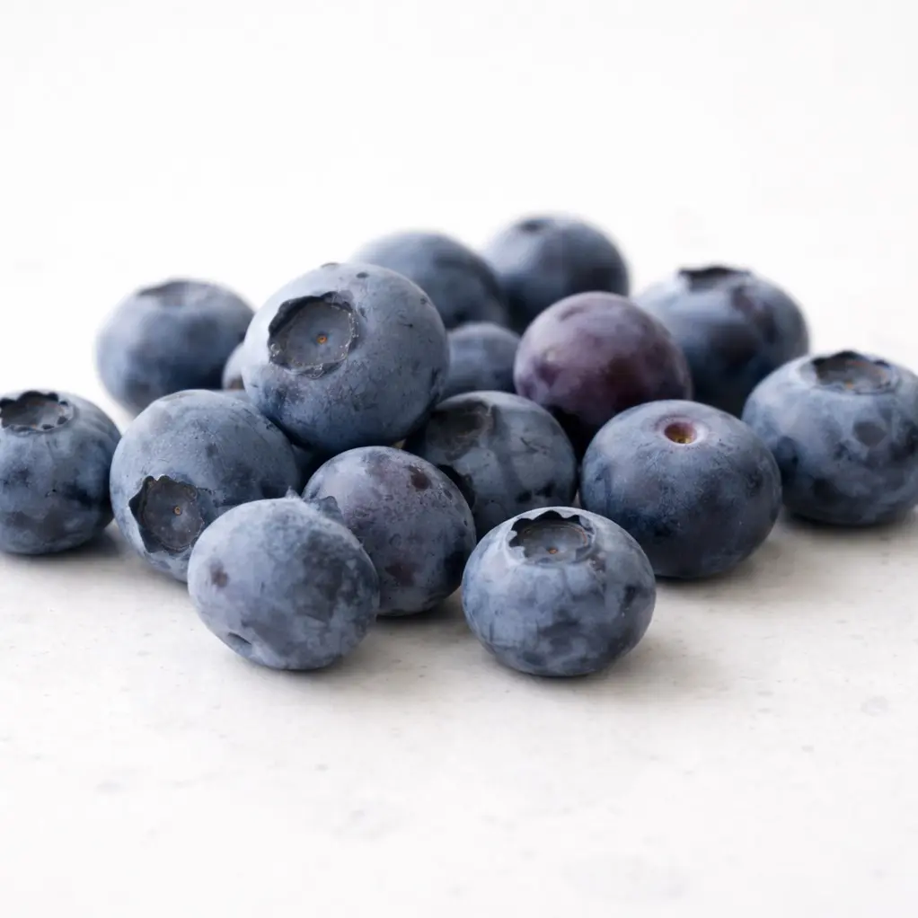 Blue Ray Blueberry Plant (3-Year-Old Bare Root) | Sweet, High-Yield Berries | Hardy Zones 4–7 | Hand Picked Nursery