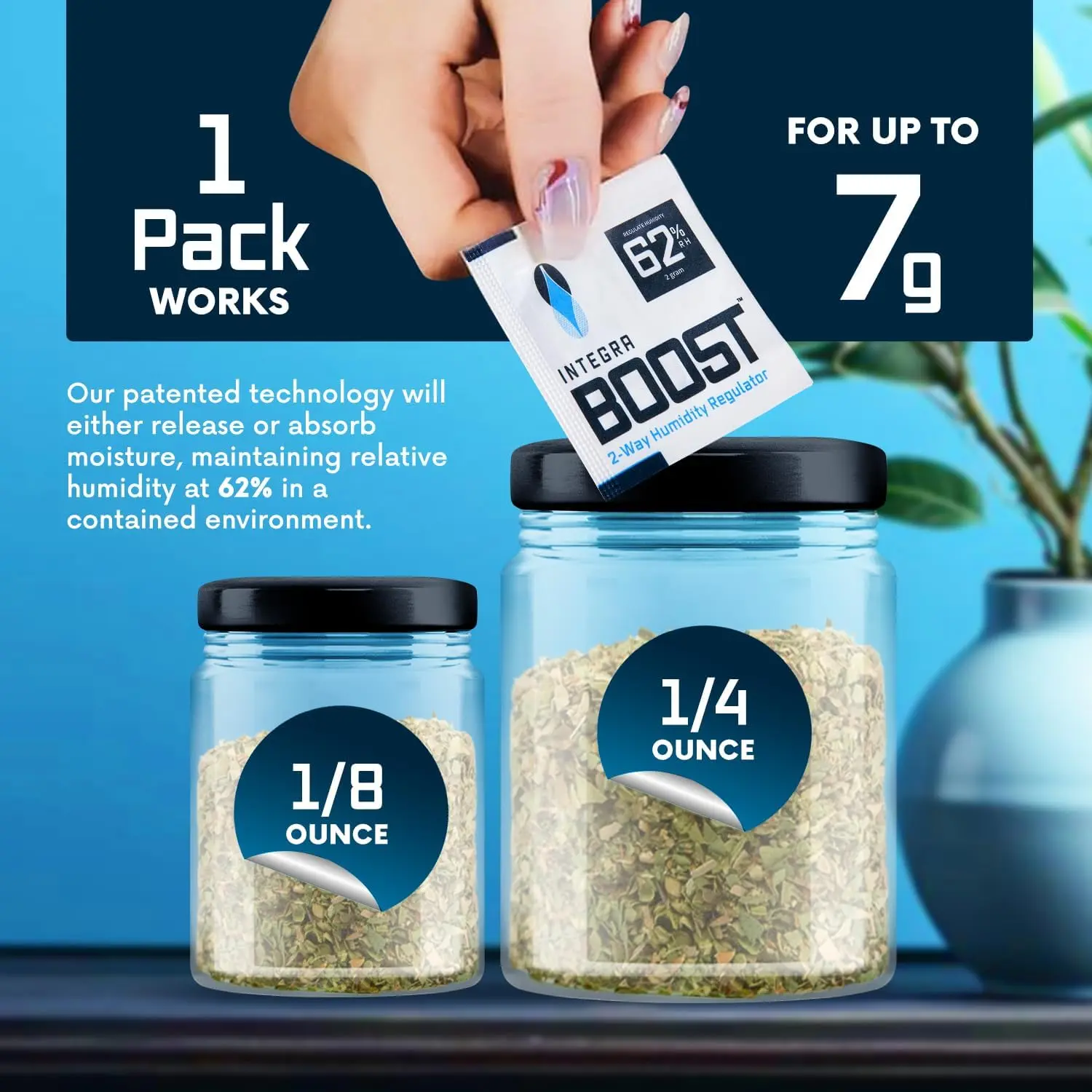 Integra Boost 2-Way Humidity Control Pack - Patented Tech, 62% RH Maintenance, Flavor Preservation, Glycerin Mix - 2g Mold Damp Proofing Moisture Absorber for Herb Storage (6 Packs)
