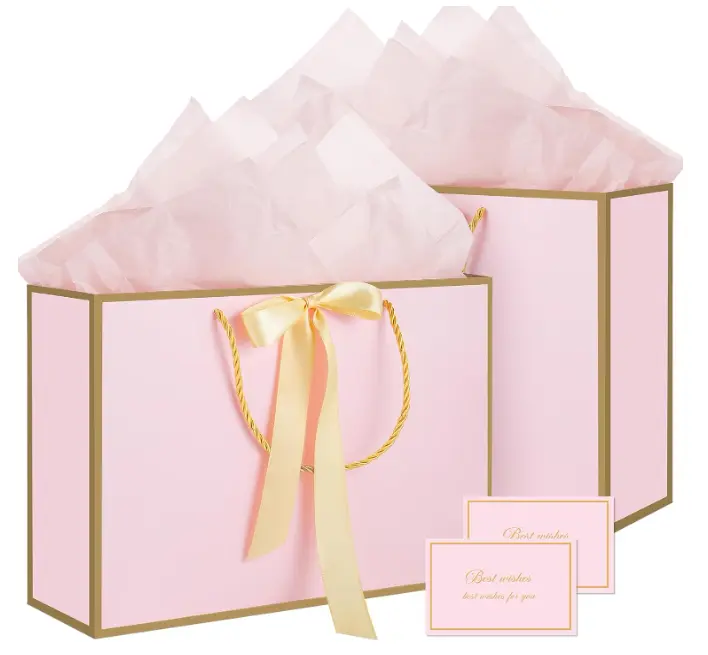 Pink Gift Bags with Handles, 14" Medium Gift Bags with Tissue Paper, 2 Pcs Pink Bags with 4 Tissue Paper and 2 Cards for Baby Shower Wedding Bridal Shower Birthday Party