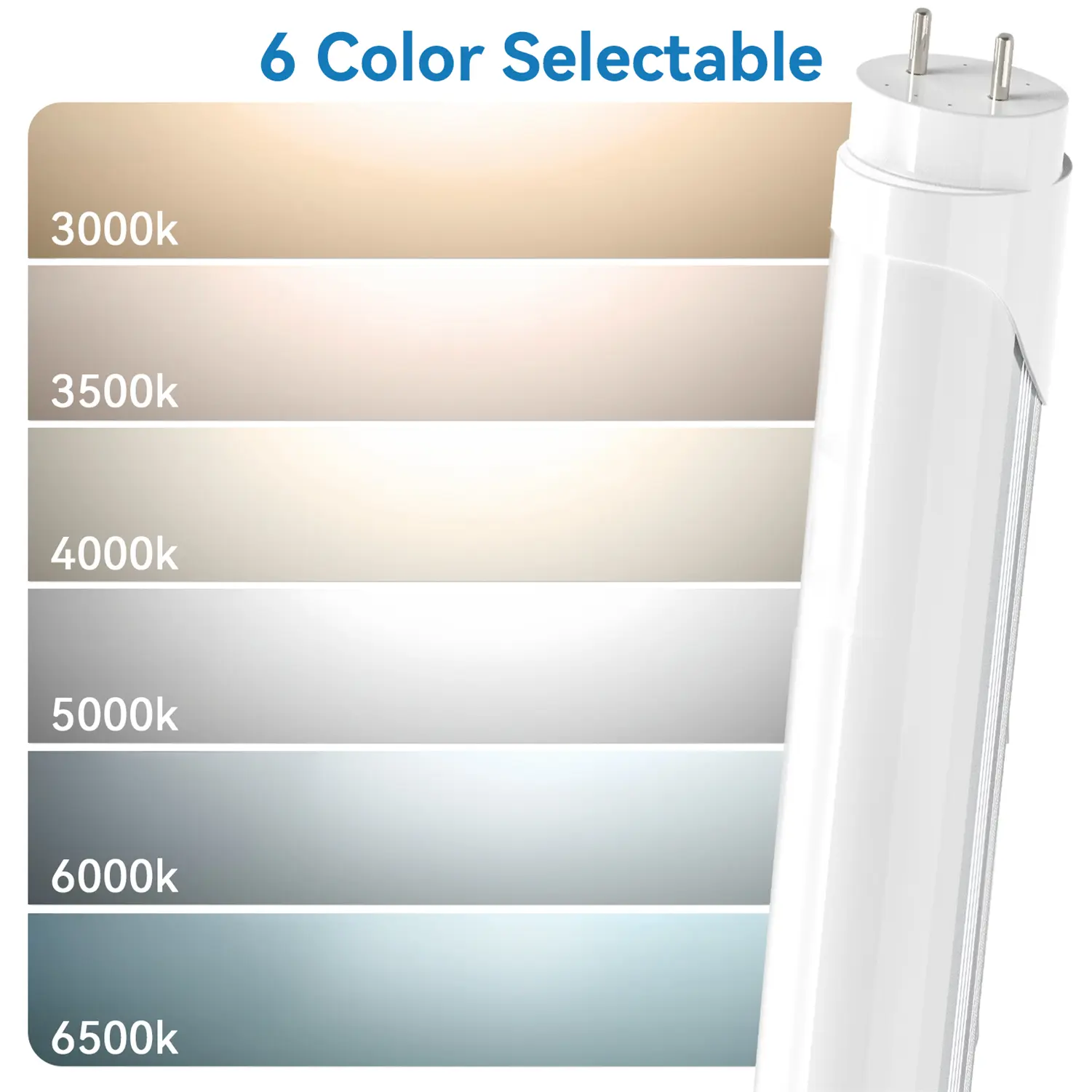12Pcs JESLED Energy Efficient T8 LED 4FT Tube Lights, 24W 3200LM 6CCT Selectable (3000K Warm/5000K Daylight/6000K Cool White), Type A+B Dual-Ended, Plug-and-Play or Ballast Bypass, Fluorescent Replacement for Shop/Garage Ceiling Lights
