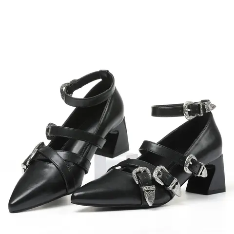 AOSPHIRAYLIAN Women's Chic Mary Jane Shoes - Adjustable Metal Buckles, Pointed Toe, Ankle Strap, Square Thick High Heels, Rubber Sole, Quick Fit, Bridal Prom Footwear, Clearance Sale