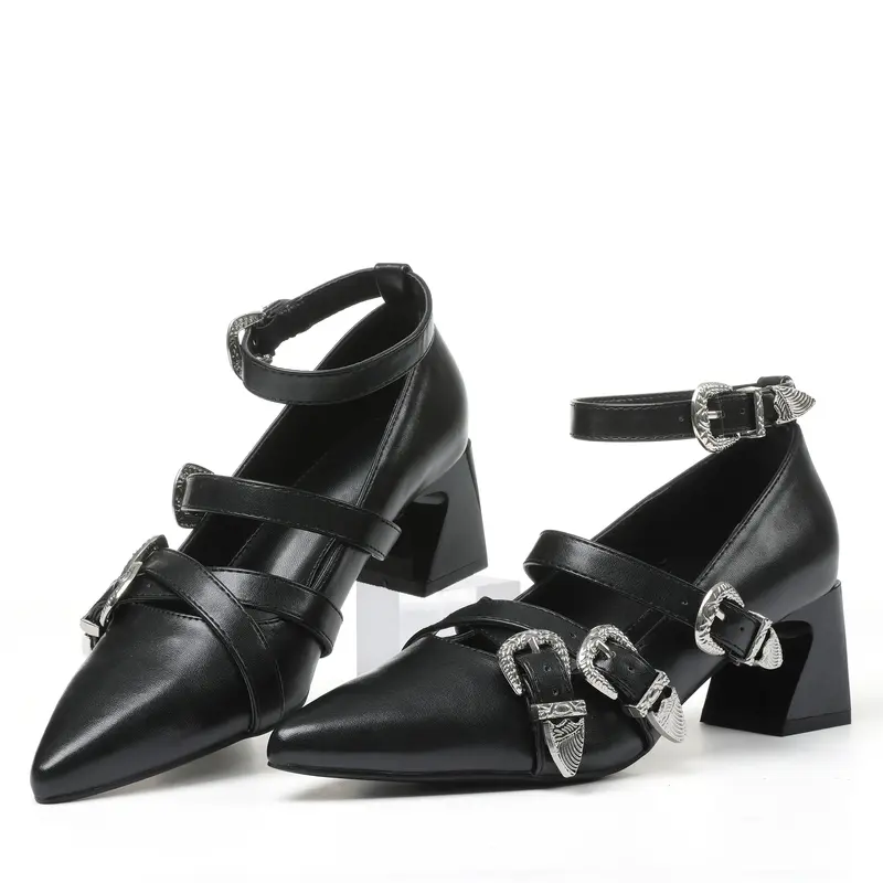 AOSPHIRAYLIAN Women's Chic Mary Jane Shoes - Adjustable Metal Buckles, Pointed Toe, Ankle Strap, Square Thick High Heels, Rubber Sole, Quick Fit, Bridal Prom Footwear, Clearance Sale