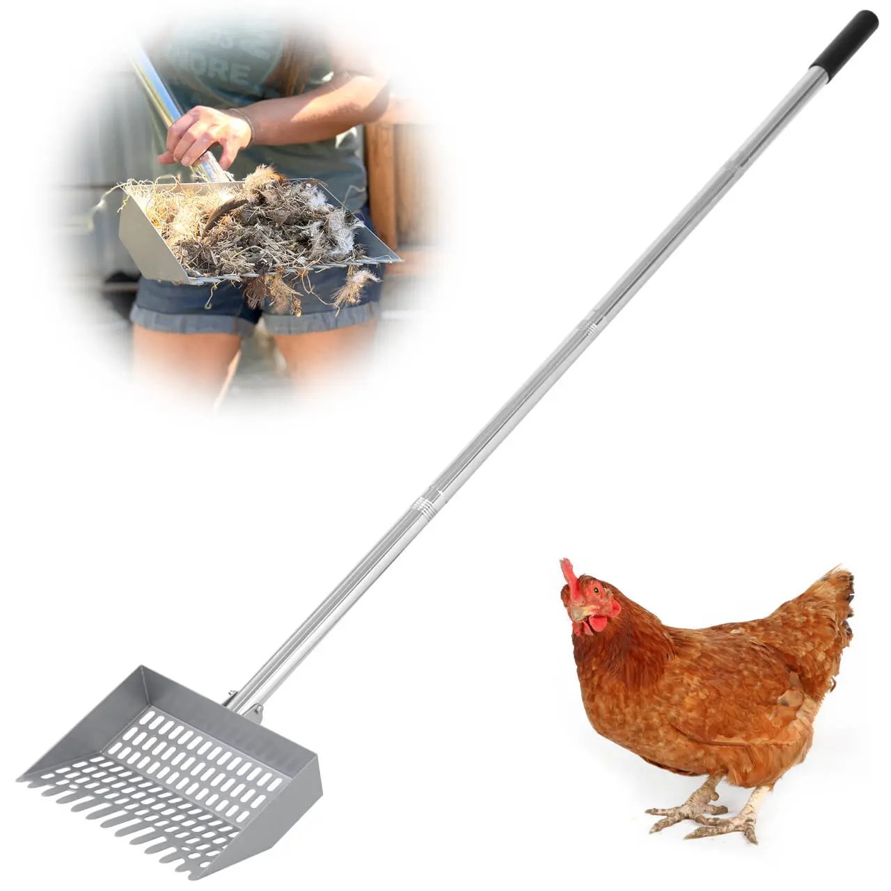 CKLT Chicken Poop Scooper Durable Metal 38 to 66" Adjustable Long Sifting Shovel for Chicken Coop Cleaning Horse Litterbox No Bending