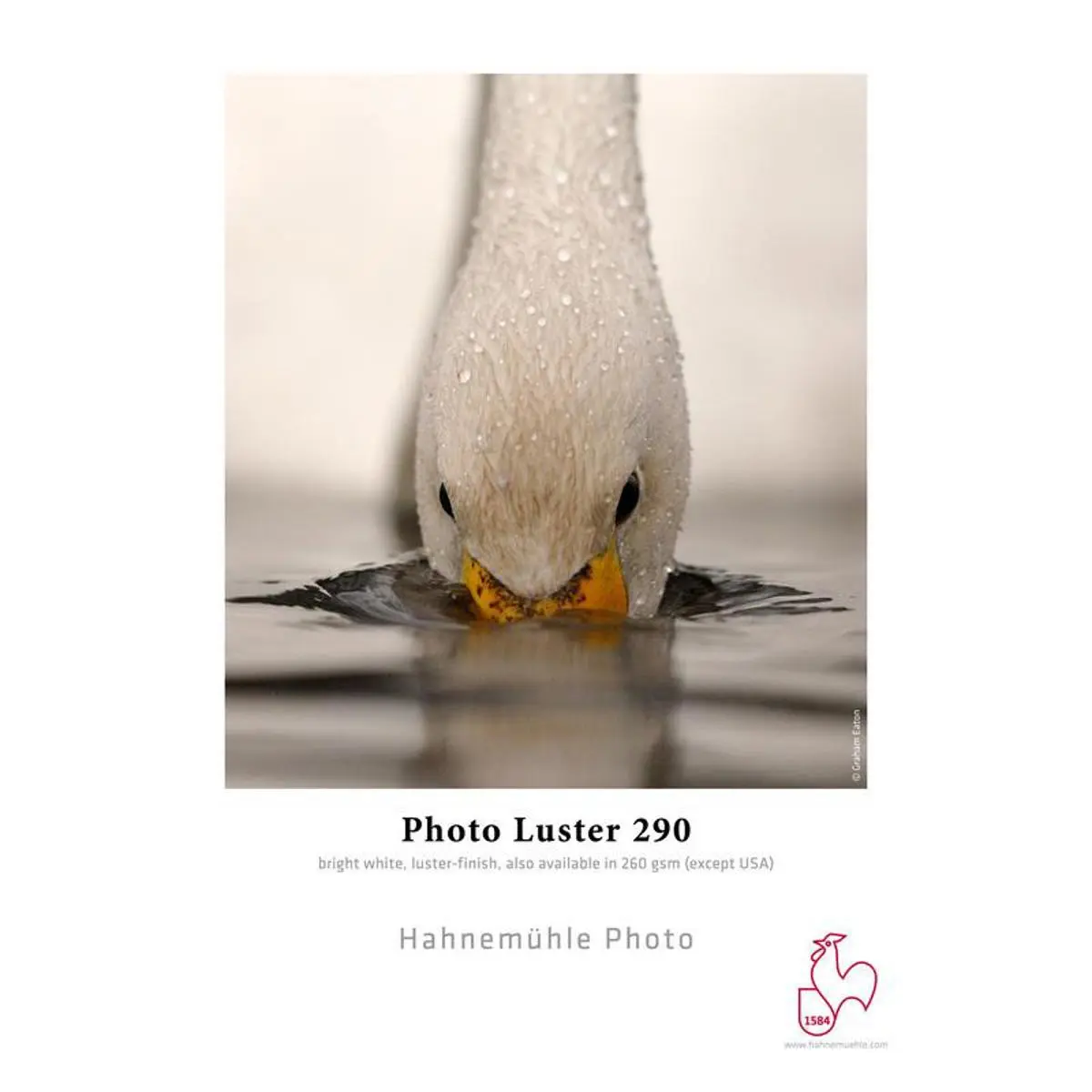 Hahnemuhle Photo Luster 290 Inkjet Paper, 8.5x11", 25 Sheets