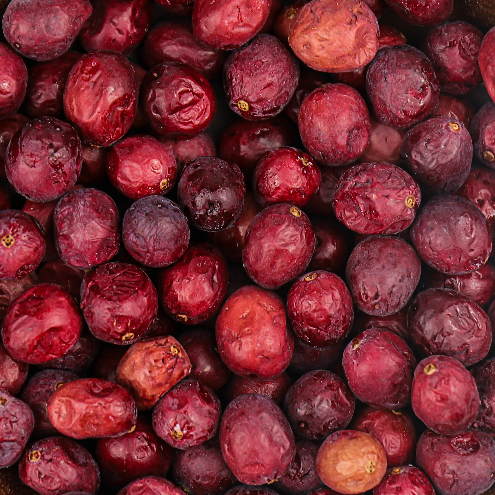 SNAFRE Freeze Dried Whole Cranberries 2.64 oz - 100% Real Fruit Snack No Sugar Added Non-GMO Crispy Berries for Yogurt Salad & Camping