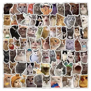 100pcs Funny Cat Meme Stickers, Cute Aesthetic Cat Sticker Pack for Laptop, Water Bottle & Phone, Fun and Adorable Designs
