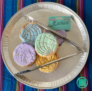 Pastel Concha Coin Purse