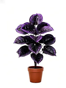 Purple Variegated Artificial Plant – 12 Heads, Lifelike Faux Foliage for Shelf, Desk & Table – No Watering, Zero Maintenance for Home, Office, Bathroom