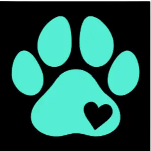 Custom Car Decal Add-On 4x7 Inches