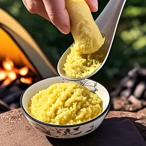 Japanese Stainless Steel Ginger Garlic Grinder, Manual Home Use, Handheld Ginger Paste Maker, Ginger Juice Grinding Tool, Small Kitchen Gadgets