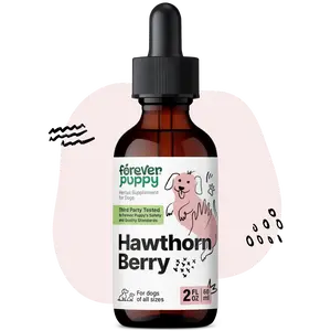 Hawthorn Berry Drops for Dogs - Antioxidant Support Tincture for Dogs w/Hawthorn Berry - Liquid Heart Health Supplement for Happy Pets - No Preservatives & Artificial Colors - 2 oz