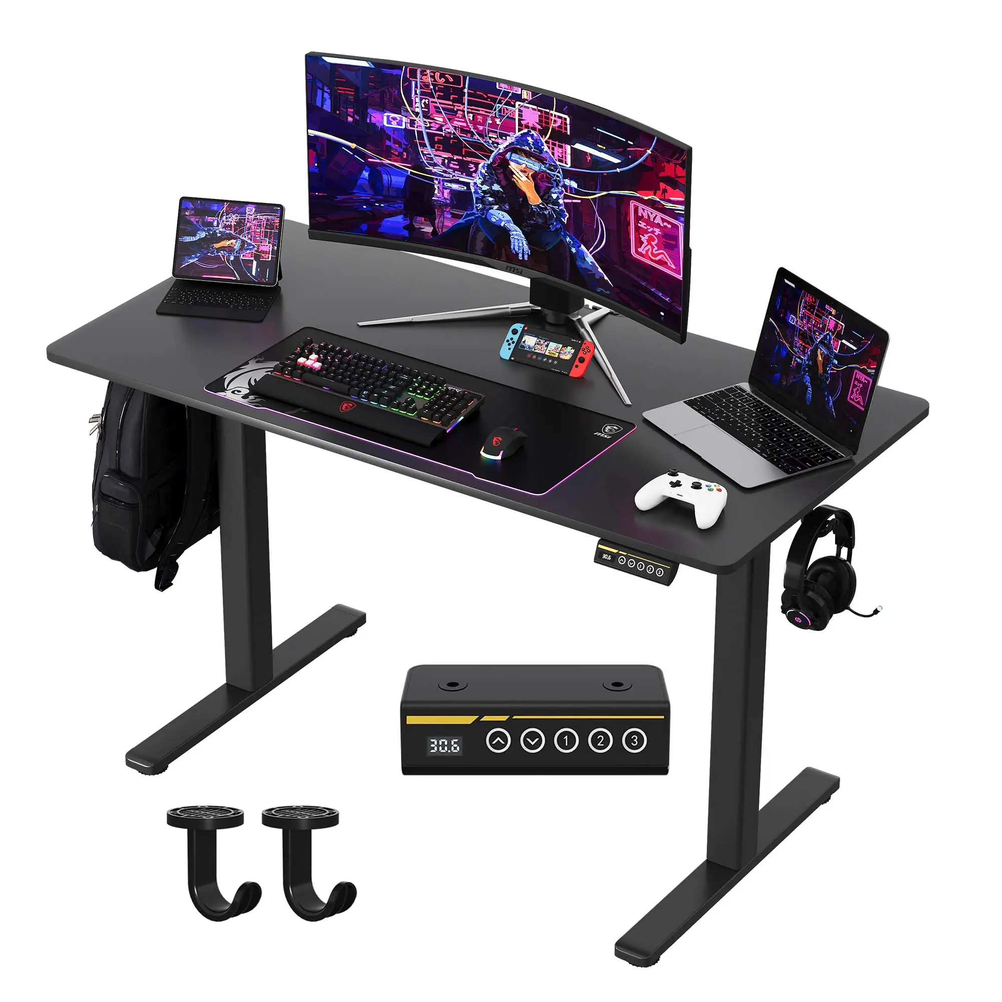 48"×24" Electric Height Adjustable Standing Desk, Ergonomic Computer Workstation with 3 Memory Presets, Sit Stand Desk for Home Office, Study, Gaming & Working