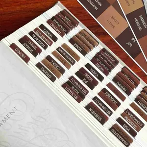 80pcs Thinkor Reposition Laminated Bible Tabs, Adhesive Tabs, Large Print Book Reading Stickers, Easy to Read and Apply, Earthy, for Men and Women