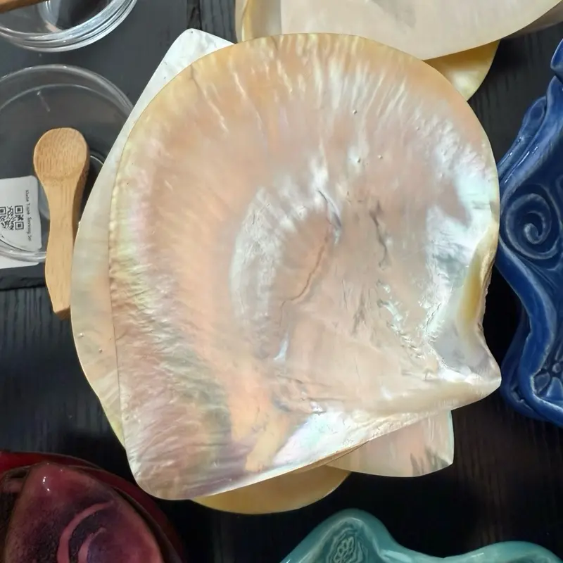 Shell tray. Irradescent. Mother of pearl dish.