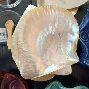 Shell tray. Irradescent. Mother of pearl dish.