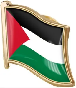 Palestine Flag pin Free palestine Free Gaza