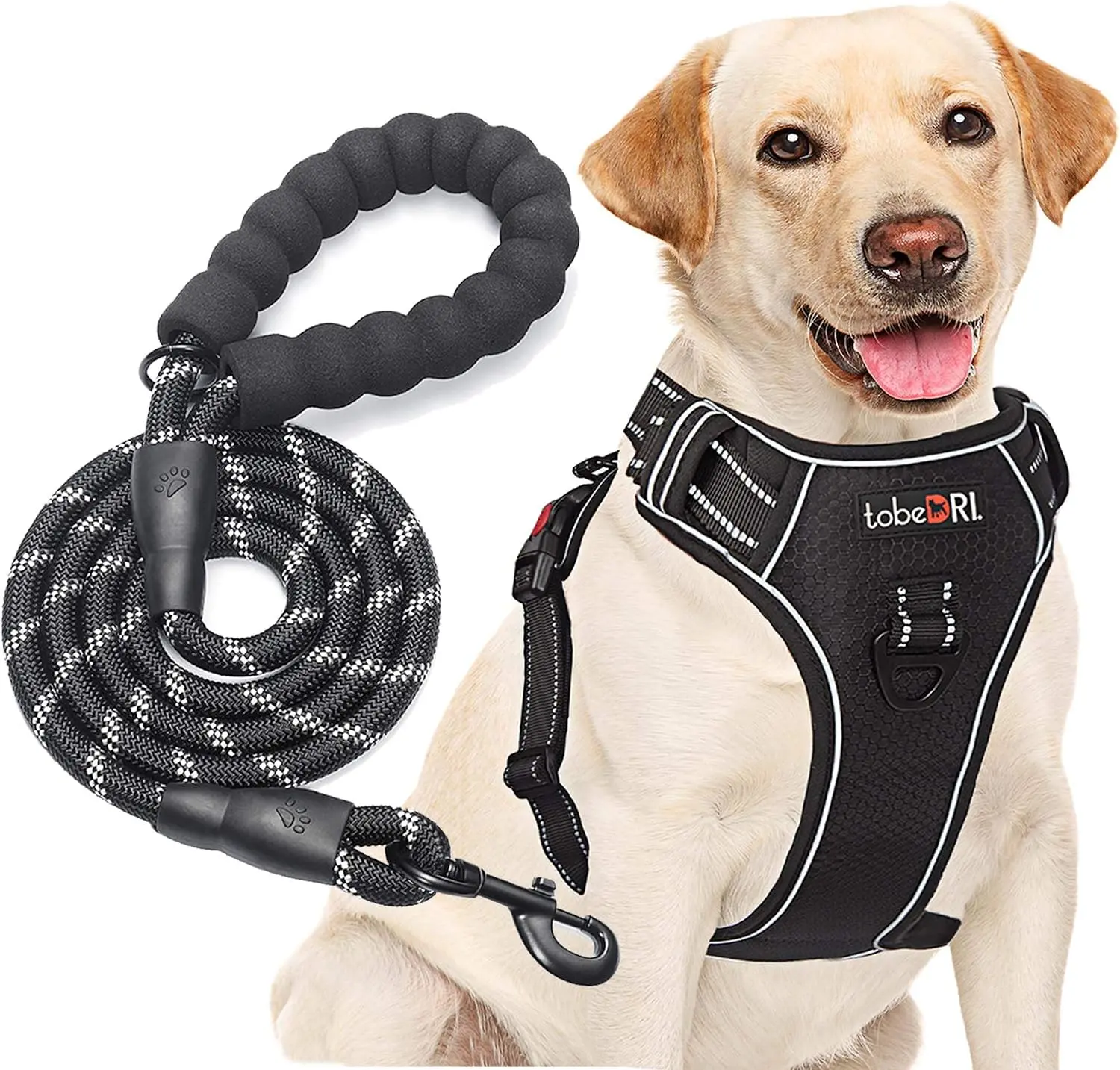 Dual Dog Leash with 360° Swivel Buckle - Prevents Tangling, Shock-Absorbing Elastic Rope for Controlling 2 Large Dogs (25-150 lbs, Black), Bungee Cord