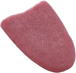 Realistic Fake Tongue Gross Jokes Prank Magic Tricks Halloween Horrific Magicians Props Fashion Processing Novelty Props