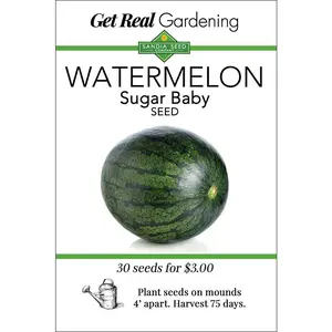 Watermelon Sugar Baby Seeds