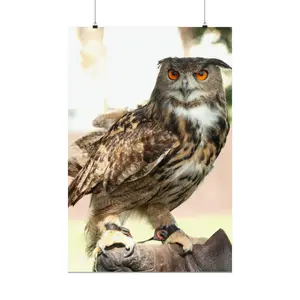 Eagle Owl-Premium Matte Vertical Posters Decor Print