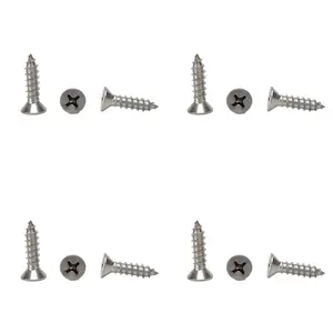 304 Stainless Steel Screws High Strength Corrosion Resistant Furniture Decoration Special Self Tapping Screws for Secure Fastening