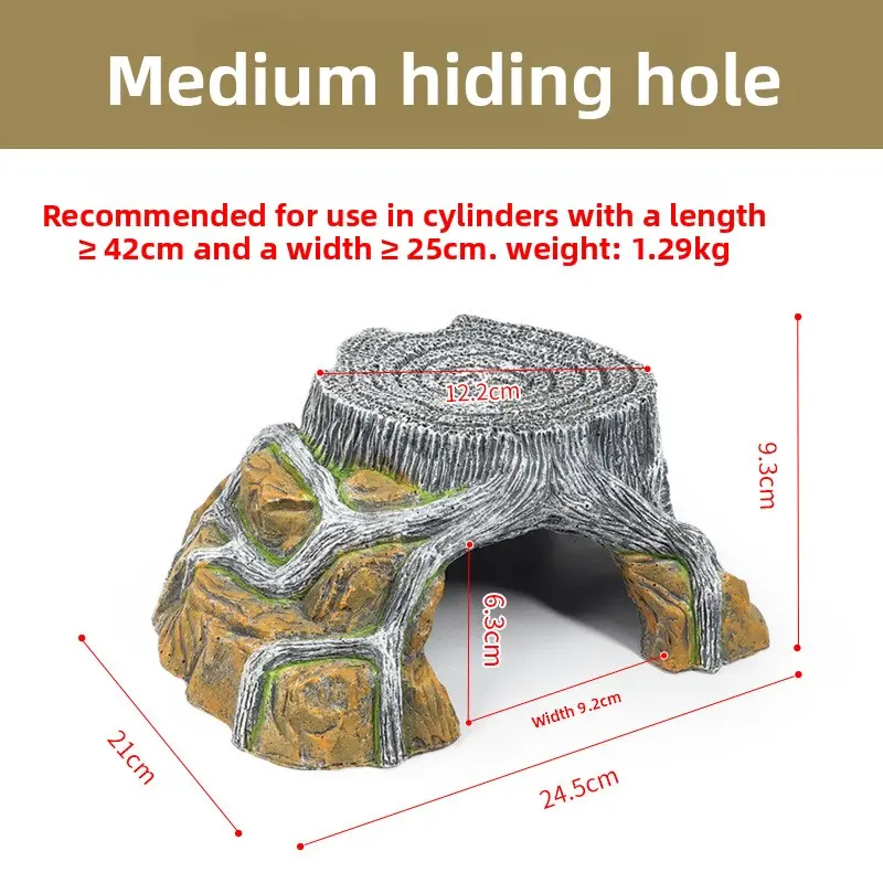 [Sun Platform] Medium Size