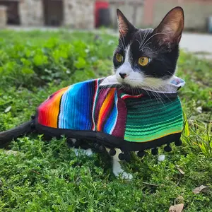 Zarape no fur.- no lleva sherpa Multicolor