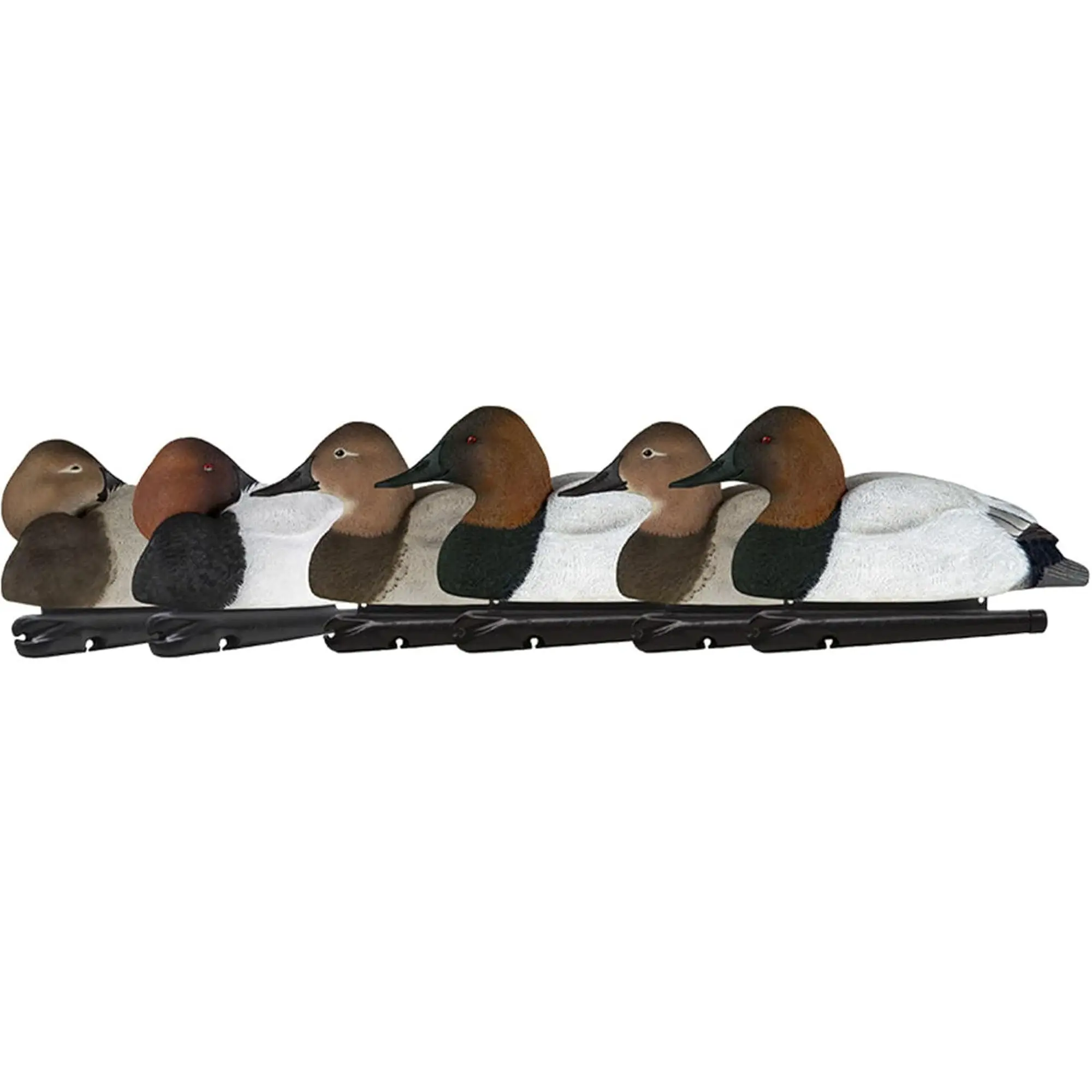 Avian X Topflight Canvasback Pack of 6 Floating Decoys