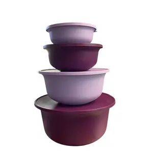 Set bowls Aloha purple and lilac