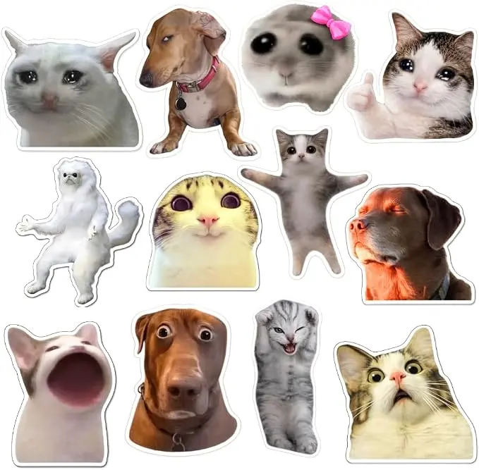 12 PCS Funny Magnets, Fun Cute Cool Meme Phrase Quote Word Magnet Set for Adults; Applicable on Fridge, Refrigerator t, it’s fine cat & Dog Gifts