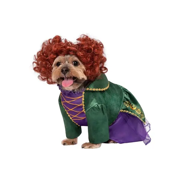 Hocus Pocus Winifred Sanderson Dog Costume
