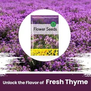 2000+pcs Creeping Thyme Seeds for Planting, Perennial Ground Cover Plants Flowers Seeds Fragrant Herb Seeds for Lawns & Paths Garden