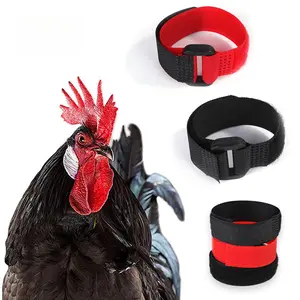 6 Pack No Hook Rooster Anti Crow Collar Neck Band for Chickens Stop Crowing Noise Control Crow Collar for Small Rooster Hen Poultry Supplies
