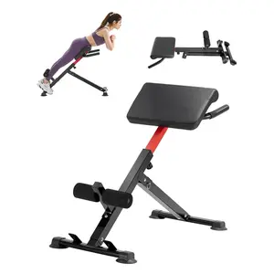 【Summervibes】VEVOR Roman Chair Hyperextension Bench, 250 lbs Adjustable & Foldable Extension Machine, Multi-Function Exercise Equipment for Glute, Hamstring, Back, and Ab Workout, Fitness Weight Bench for Home Gym
