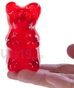 Big Gummy Bears (6-pack) - biggummyfoods