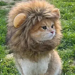 Cute Lion Pet Hat Adorable Cat Headband for Small Cats & Kittens with Easy Velcro Attachment and Comfortable Fabric for Versatile Use