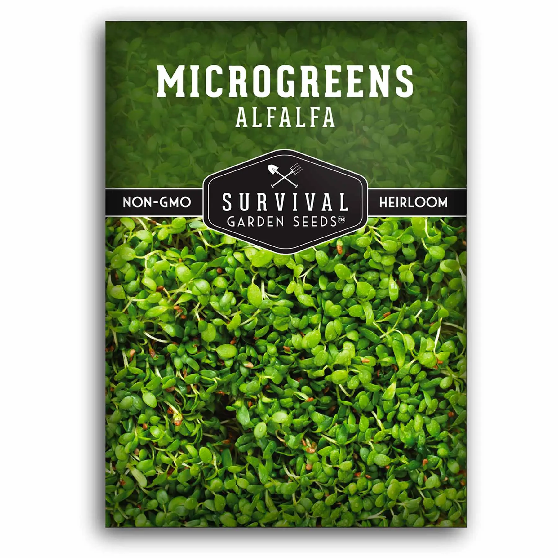 Alfalfa Microgreen Seeds for Home Garden and Planting - Easy to Grow and Healthy for You