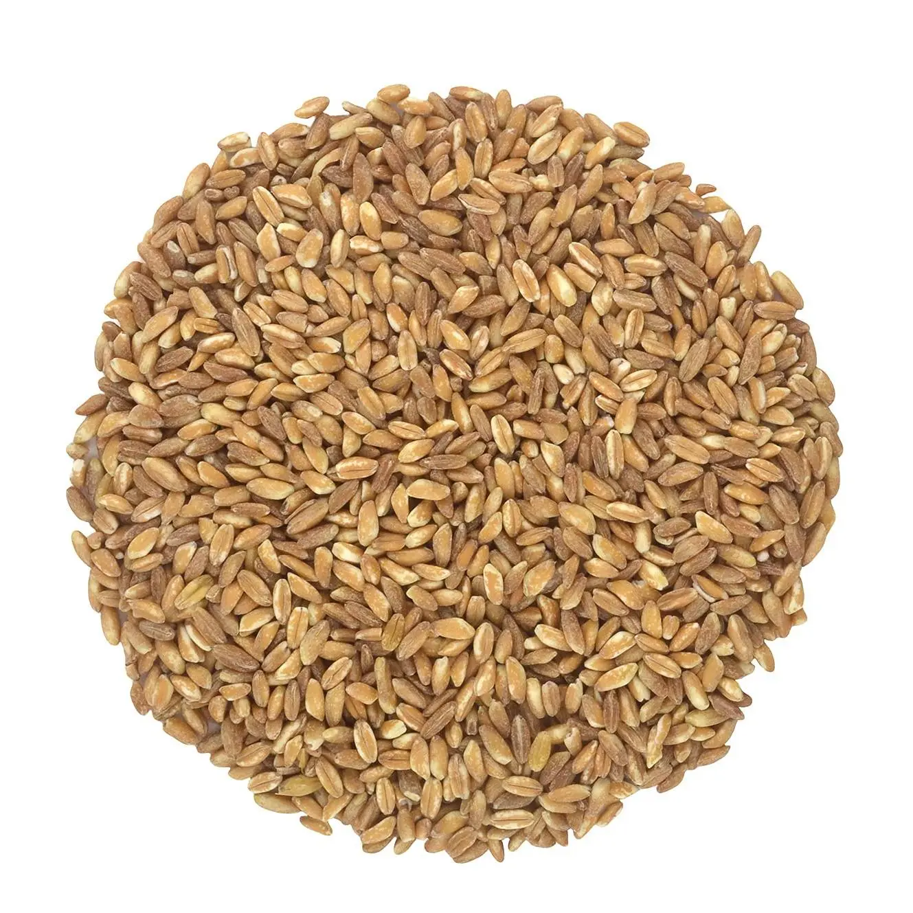 BALTORO FOODS Organic Italian Farro Grain - Raw, GMO-Free, Vegan, Bulk, Protein-Rich, Good Source of Fiber, Wheat-Containing Cooking Staple Grain, Yes