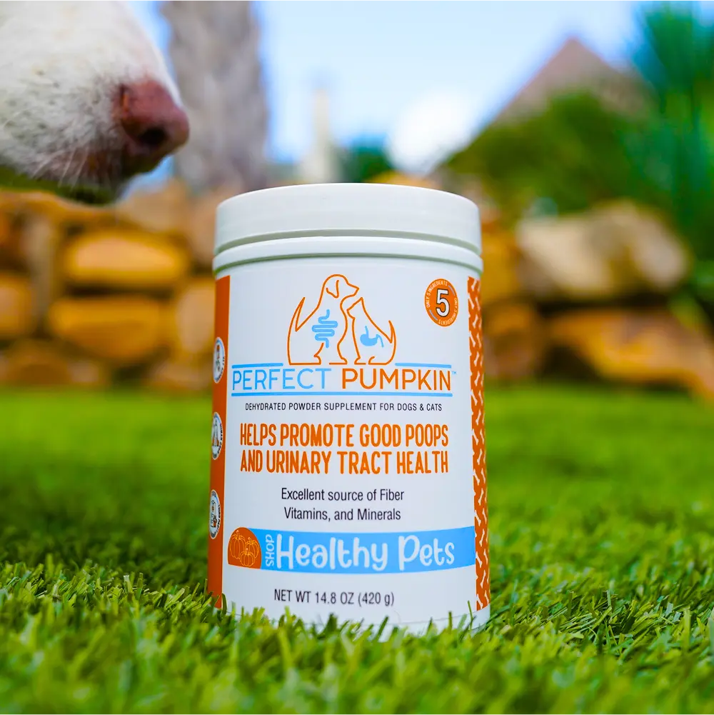 Healthy Pets Perfect Pumpkin Powder Supplement for Dogs & Cats - Promotes Good Poops & Urinary Tract Health - Rich in Fiber Vitamins & Minerals