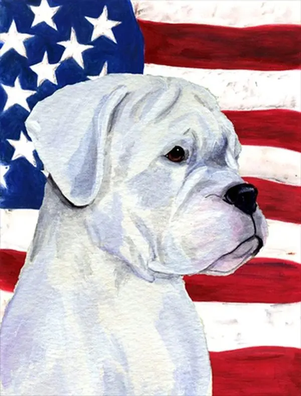 212 MAIN USA Polyester Boxer Design Flag, 11x15 in Weatherproof Double-Sided Garden-Size Outdoor Decoration for Patriotic Boating Use, 11 X 15 In