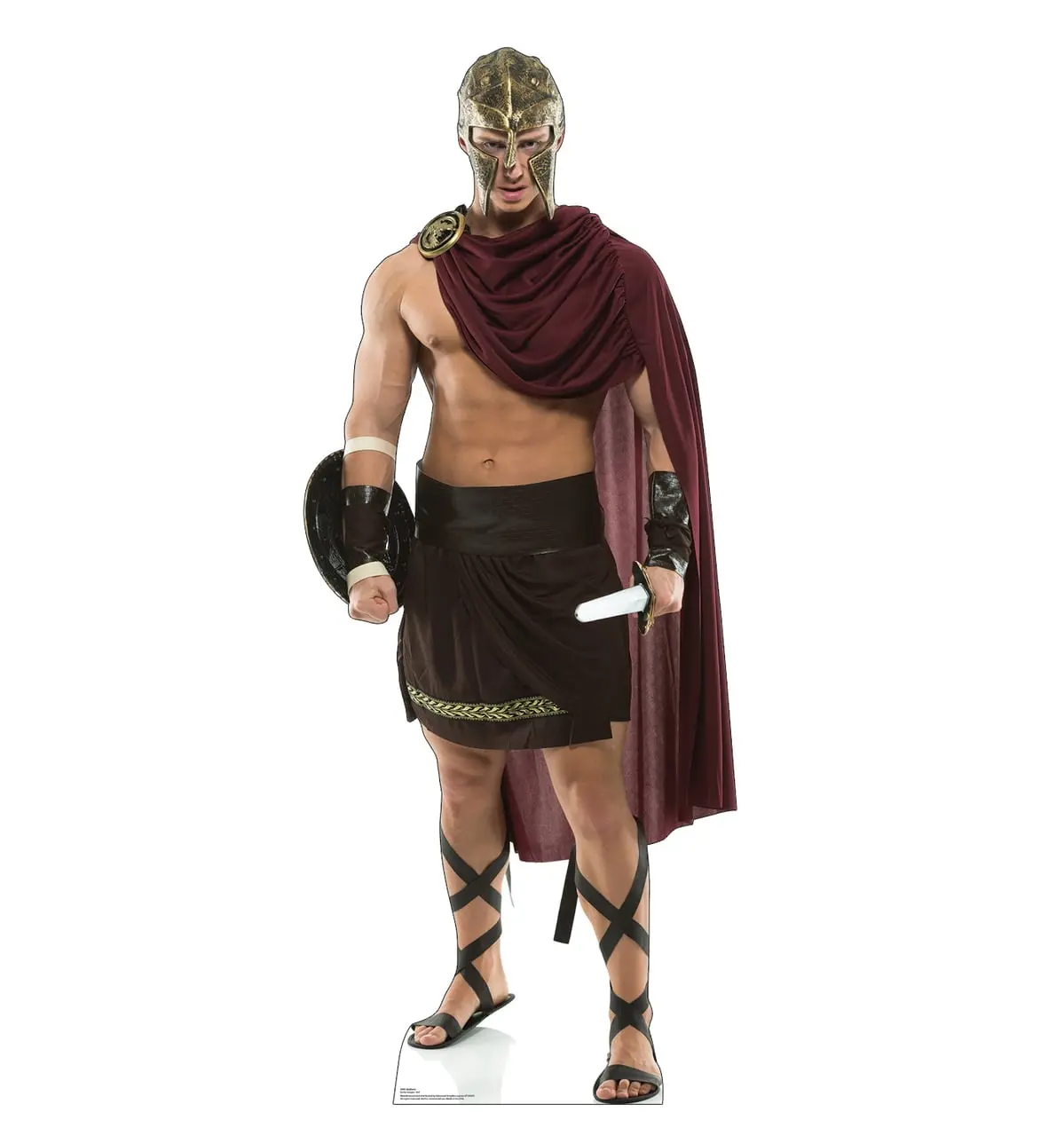 Advanced Graphics 3003 Gladiator Cardboard Cutout - 74" x 30" Decorative Photo Home Decor Accent for Parties, Event Planners, Printing