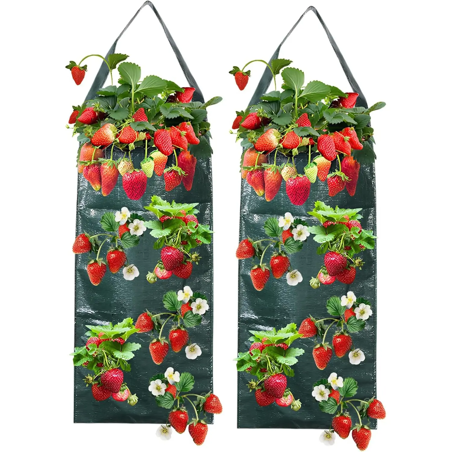 2-Pack Hanging Strawberry Grow Bags, 6-Hole Plant Pouches with Handles, Outdoor Hanging Planters for Strawberries, Herbs, Vegetables, Planting Bags