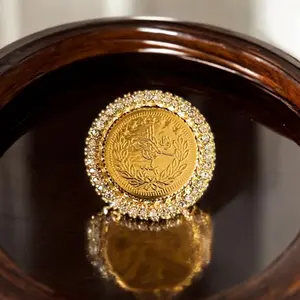 Salwad lira Brooch Pin