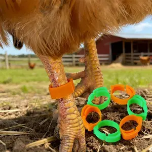 Special Leg Bands for Chickens, Ducks, and Geese - Reusable Pet Poultry Leg Bands - Adjustable Leg Bands to Prevent Falling Off, Poultry-specific Identification Rings, Colors Are Random
